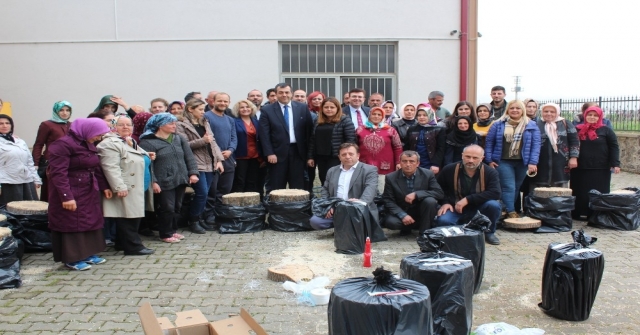 Vakfıkebirde İstiridye Mantarı Yetiştiriciliği Kursu Düzenlendi