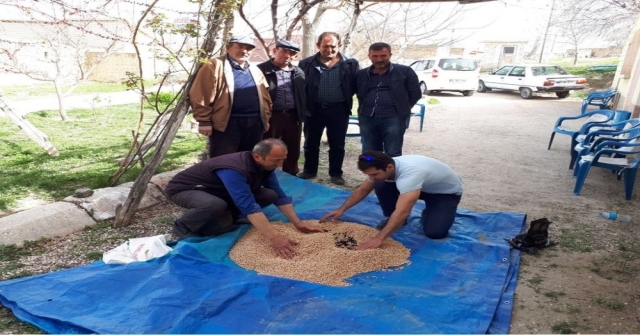 Niğdede Nadas Alanları Alternatif Ürünlerle Değerlendiriliyor