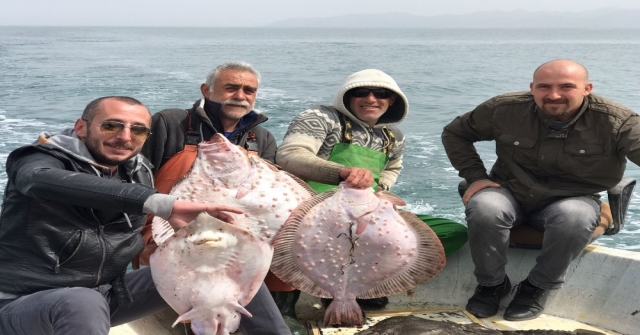 Karadenizde Kalkan Bereketi Yüz Güldürüyor