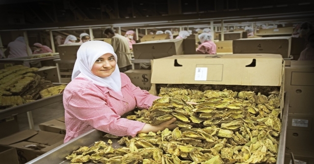 Eib İhracatında Tarihi Rekor